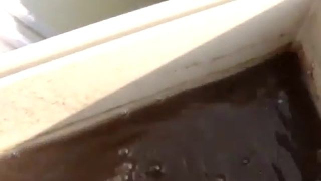 Степень очистки сточных вод в правильной канализации смотреть онлайн