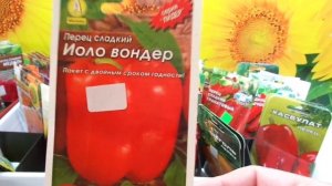 КАКОЙ ПЕРЕЦ ВЫБРАТЬ? СОРТ ИОЛО ВОНДЕР. Обзор Ольги Черновой.