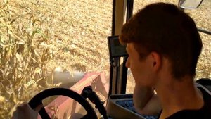Полесье GS12 КЗС-1218. Уборка кукурузы, студент за рулём