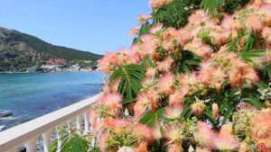 Новый Свет. Лето 2023. Крым