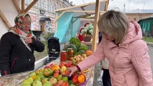 Минусинский помидор 2022