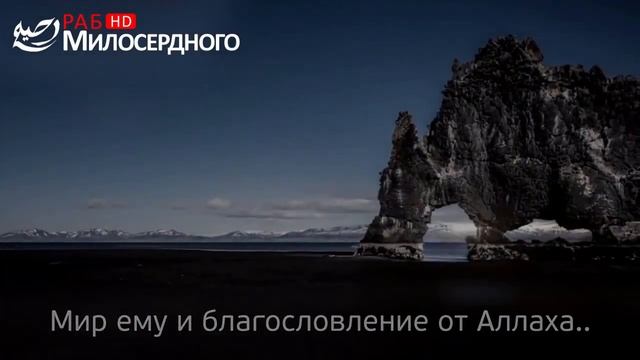 Нашид Великий Подарок ᴴᴰ смотреть онлайн