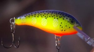 RAPALA SHAD DANCER SSD05