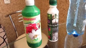 Орхидея Ванда - уход и содержание.