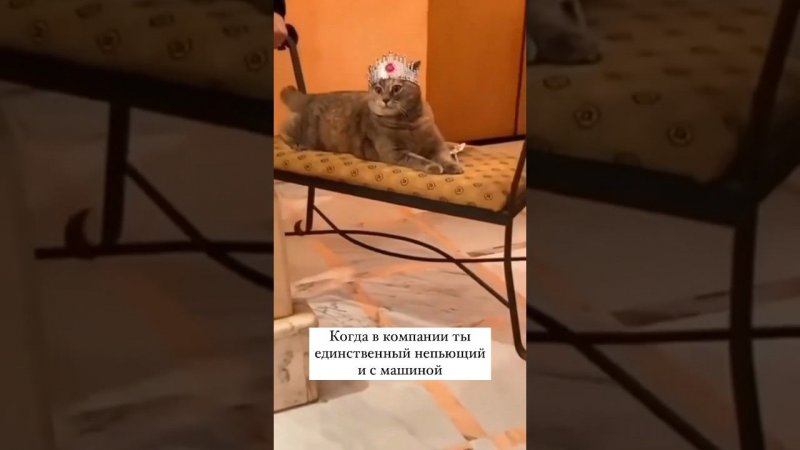 В каждой компании обязательно есть такой человек: