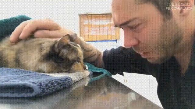 ЧТО ТАКОЕ ЛЮБОВЬ?