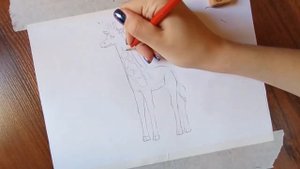 РИСУЕМ ЖИРАФА / Как нарисовать жирафа поэтапно?