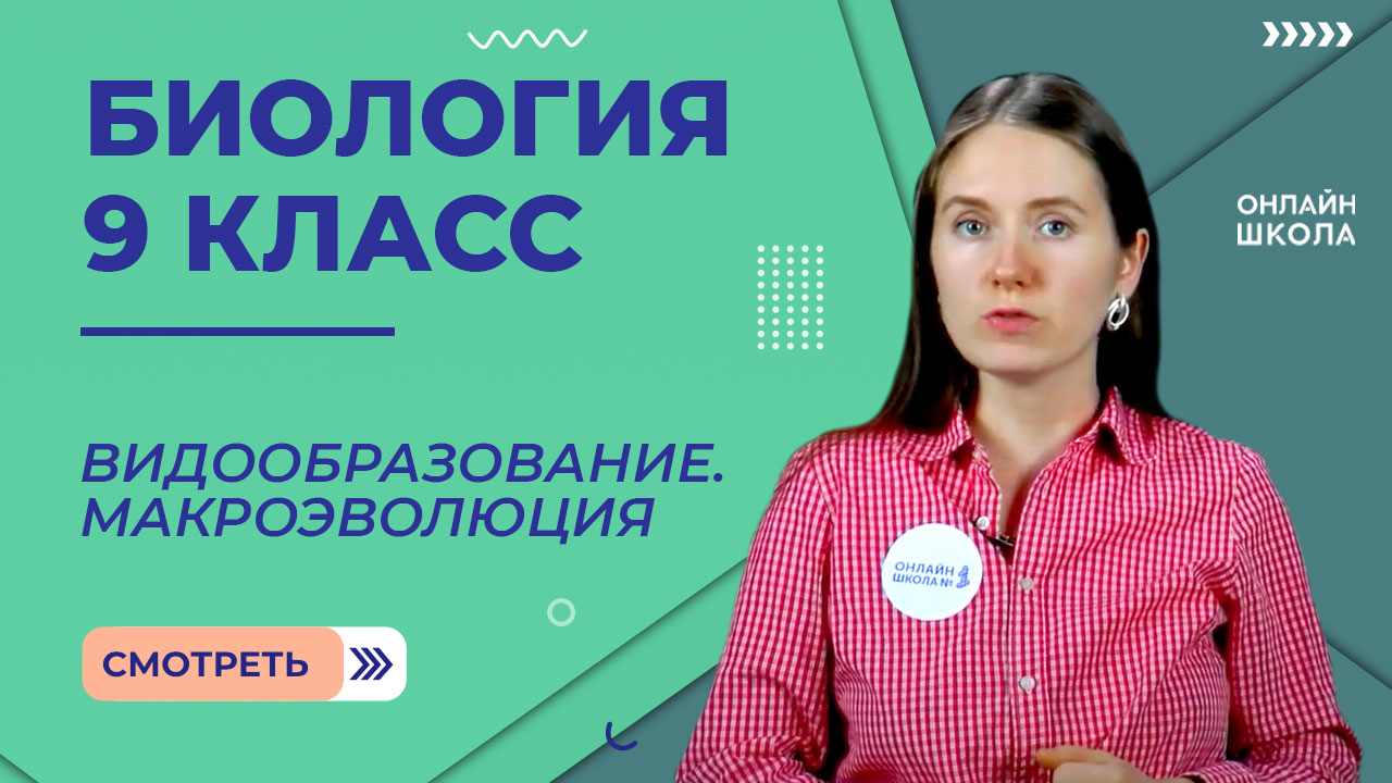 Видообразование. Макроэволюция. Закономерности эволюции. Урок 29. Биология 9 класс