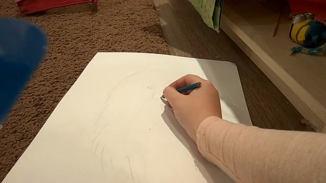 Как нарисовать шпица простым карандашом