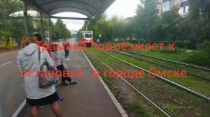 трамвай подъезжает к остановке, в городе Омске .
