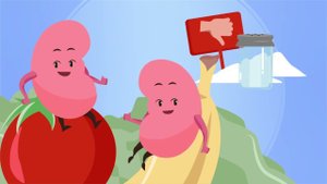 Здоровые почки | Дни осведомленности о здоровье почек