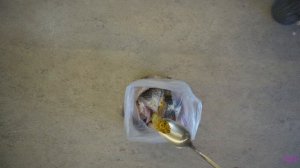 Нежное, слегка сладковатое мясо рыбы ПЕЛЕНГАС/просто, быстро и очень вкусно/fry fish pelengas