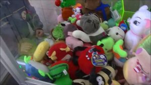 выиграли очень много игрушек с автомата с игрушками или нет ?