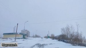 Ямало-Ненецкий АО Лабытнанги по дороге на Судорембазу. май 2023