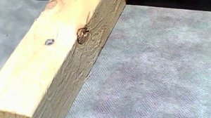 Ветро влагозащитная мембрана в ендове. Каркасный дом.