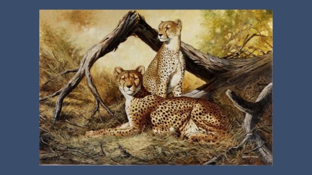 Cómo DIBUJAR y PINTAR ANIMALES REALISTAS смотреть онлайн