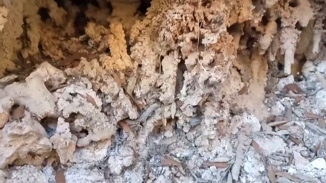 Сталактиты в расщелине камня. Юг Франции смотреть онлайн