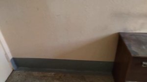 (П-55, 9-й подъезд) Старый лифт (КМЗ, раб. с 1991 г.) в паре с (ЩЛЗ, 2018 г.в.), V=1 м/с, г/п 320 к