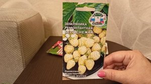 Лесная земляника в саду.Выбираем сорта ремонтантной земляники мелкоплодной.26 ноября 2021г