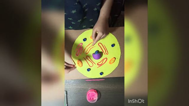 Animal cell clay model смотреть онлайн