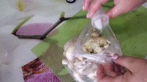 ?шампиньоны на углях ?