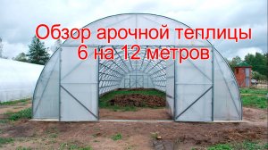 Обзор арочной теплицы 6 на 12 метров