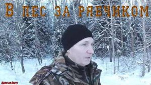 Охота на рябчика зимой