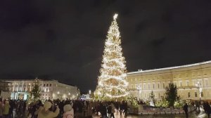 Открытие главной новогодней ёлки Петербурга на Дворцовой площади (20.12.2023)