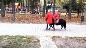 Маленькая пони Катаемся на лошадке Дети и пони