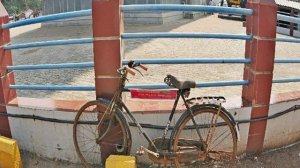 Гоа отели первая линия