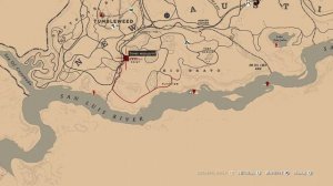 Кубинский сухопутный краб🔍