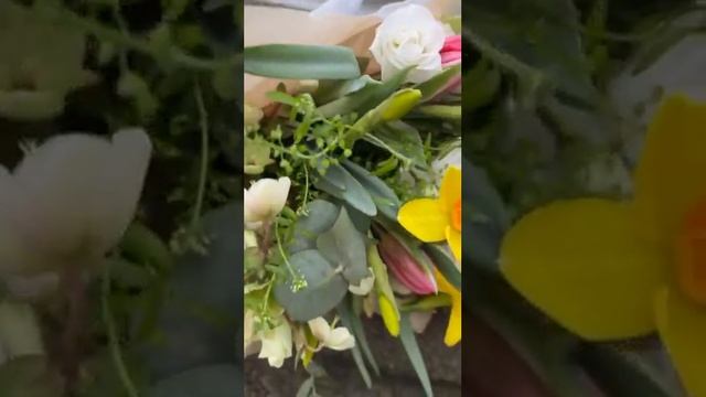 Jarní kytice  Spring bouquet