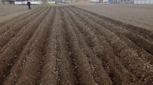 Пробуем нарезать борозды