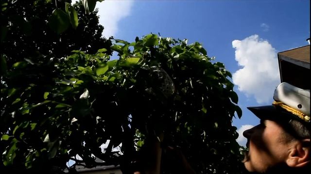 Расцветали груши, улетали сети смотреть онлайн