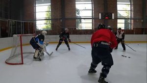 Я вратарь! Опасный хоккей Шайба в шею