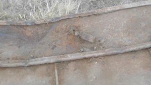 КОЩЕЙ-5И Коп для подписчика