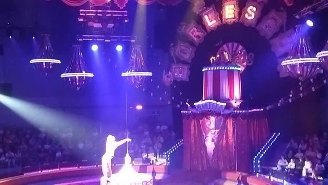 ШОУ "БУРЛЕСК" ГИИ ЭРАДЗЕ, ВСТУПЛЕНИЕ, ВЛАДИВОСТОКСКИЙ ЦИРК смотреть онлайн