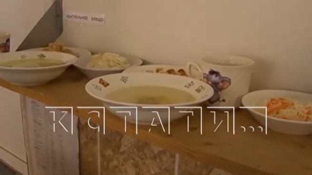 Родители детей, посещающих детсады, провели внеплановую проверку питания смотреть онлайн