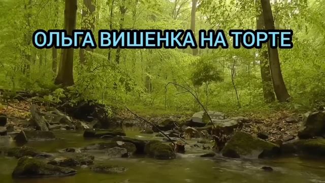 НАДО СПАСАТЬ ВОВКУ! ПИРАТСКАЯ ЖИЗНЬ. смотреть онлайн