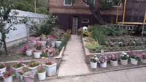 Наш хутор-24