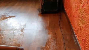 уборка комнаты THOMAS DRYBOX AMFIBIA PET 2 Часть