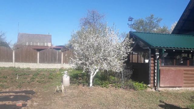 С добрым весенним утром!С  Днем Победы!!!🎈🎈🎈 смотреть онлайн