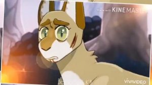 Коты воители| Темнохвост |клип Freakshow [+21]