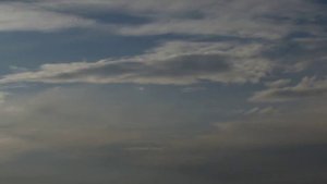 Птицы летят к солнцу