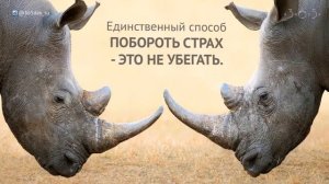 Единственный способ побороть страх