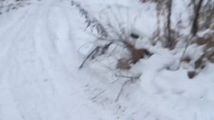 Спасение снегохода рысь 440, провалился под лёд,