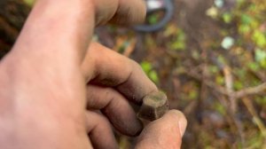 ПОСЛЕДНИЙ ОСЕННИЙ КОП. НАШИ КОПОУШКУ БРОНЗОВУЮ.