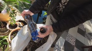 Кормушка для синиц без воробьев и голубей