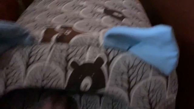 Что нужно купить перед приобретением котенка смотреть онлайн