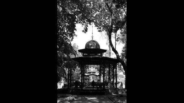 Прогулка по саду "Эрмитаж" смотреть онлайн